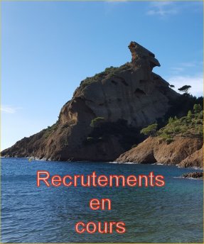 Recrutements en cours avec Alphaïs